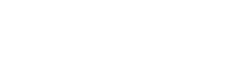 SAP Qualified Partner-Packaged Solution
